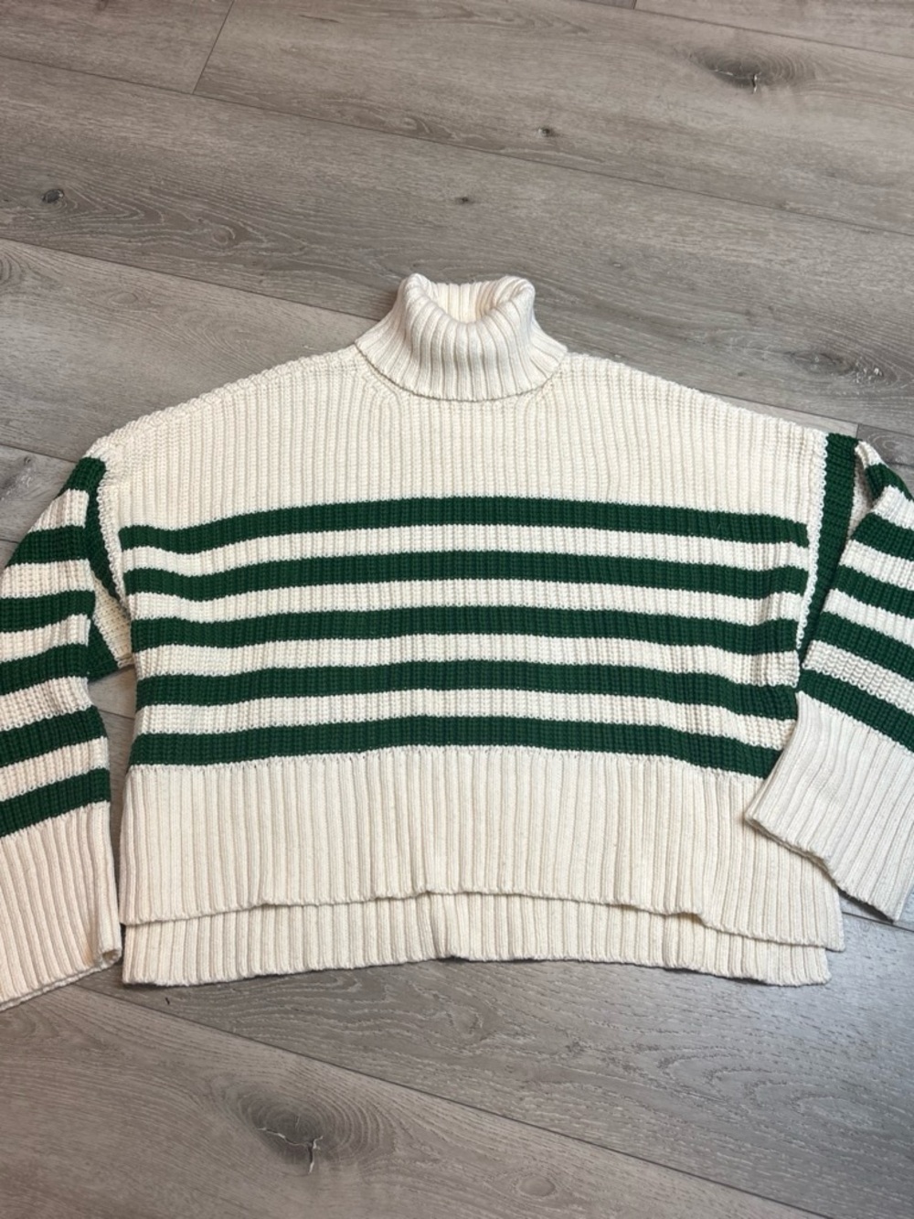 Madewell Cream and Green Striped Turtleneck Sweater